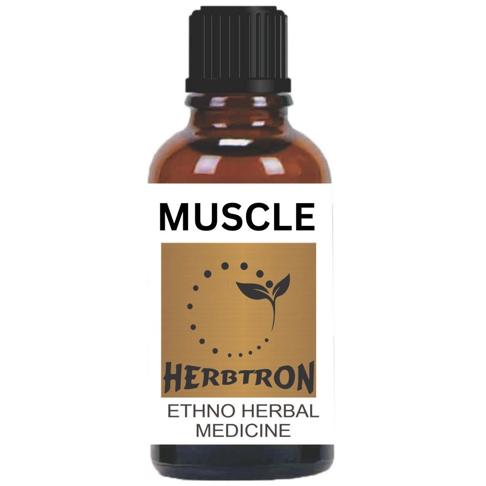 MUSCLE